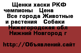 Щенки хаски РКФ чемпионы › Цена ­ 90 000 - Все города Животные и растения » Собаки   . Нижегородская обл.,Нижний Новгород г.